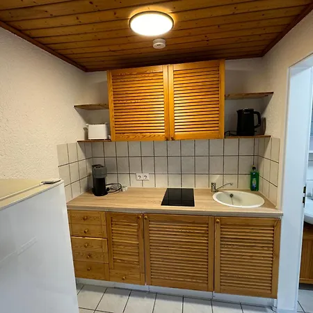 1 Zimmer Apartment In Bfh-Untergriesheim Bad Friedrichshall Extérieur photo