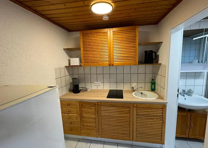 1 Zimmer Apartment In Bfh-Untergriesheim